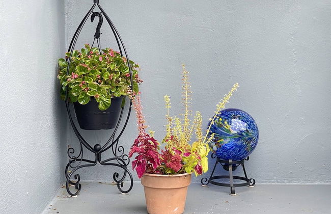 Suite at House of L - Foto 4