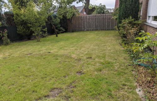 NEU! FeWo Wiesenallee EG - Foto 13