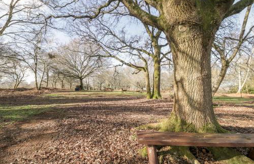 Deer Lodge - Photo 31