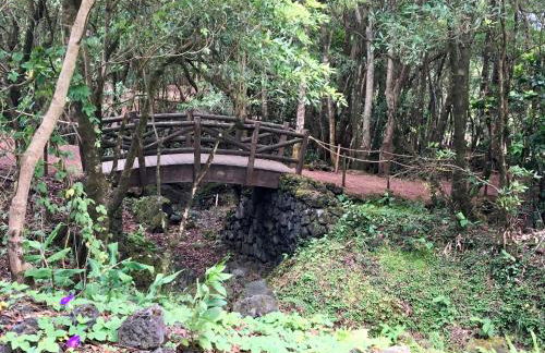 Casa do Almance - Photo 46