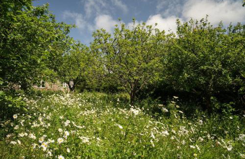 Naut Retreat - Idyllic hideaway with hot tub, gym & gamesroom ideally located in Zennor near St Ives - Photo 57