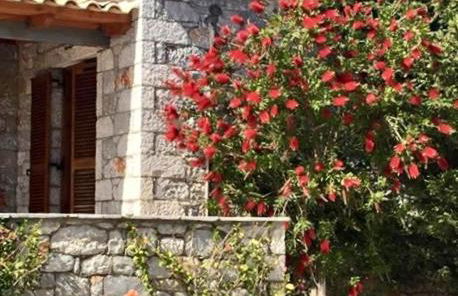 Mouses Apartments-Kardamyli - Foto 35