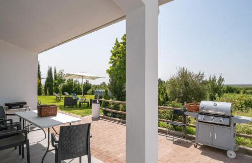 Monte de Palma- Quinta Biodinâmica Momentos Únicos - Foto 46