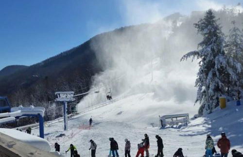 Maggie Valley Cabin with Private Hot Tub and Game Room - Foto 40