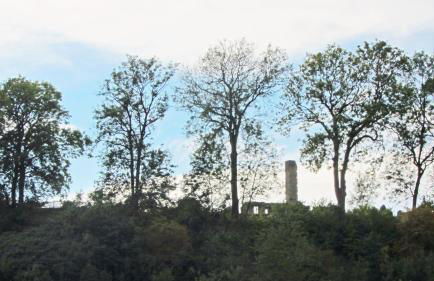 Ferienhaus Manoury am Klosterbrunnen - Foto 34