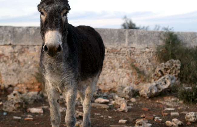 Matxani Gran Agroturismo - Photo 47
