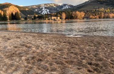 Beaver Creek 2 Bed 2 Bath Condo 1 MIN Walk to Elk Lot - Foto 9