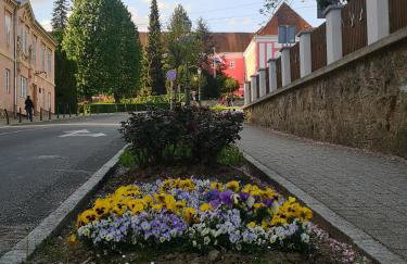 La Dolce Vita - Foto 51