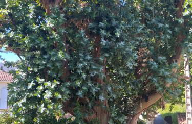 Superbe Rez-de-Villa 6p calme & plage à pied - Foto 25