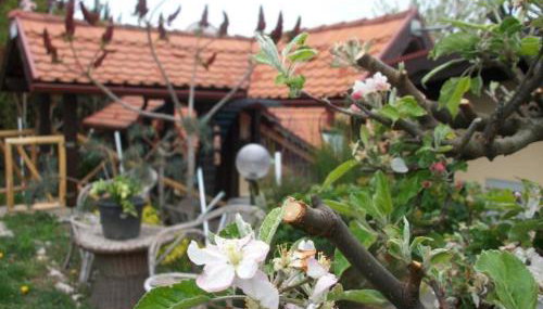 Kuća sa apartmanima Šemnica - za odmor i proslave! - Foto 4, Garden, Garden view