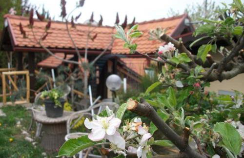 Kuća sa apartmanima Šemnica - za odmor i proslave! - Photo 4