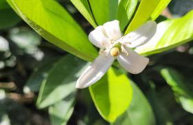 Casa El granero de Antonio - Foto 65