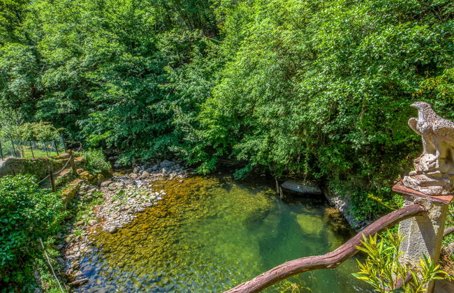 Il Mulinaccio - Foto 69