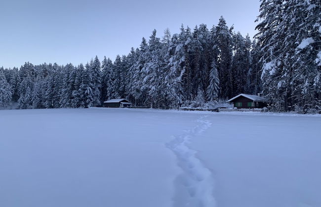 Waldchalet am Eichhof - Foto 24