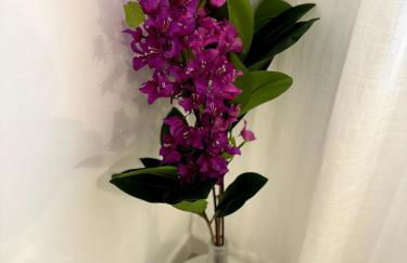 Avenzoar Apartments - Foto 16