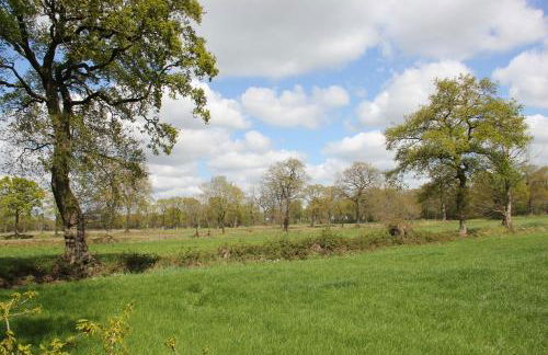 Friedeburga - Photo 34