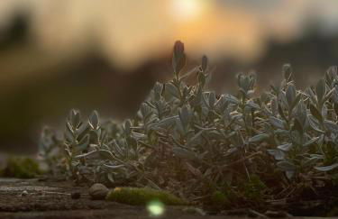 Die Landhaus Suite im Landhaus im Park - Foto 12