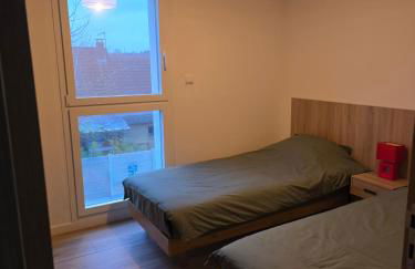 Appartement cosy près de Sceneo et Auchan au dessus du fleuriste Bellafleur - Foto 12