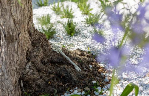 Villa Bianca - Foto 48