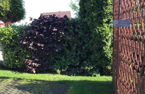 Ferienwohnung Fünfländerblick - Foto 31