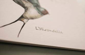 Gites dans les Champs - Foto 31