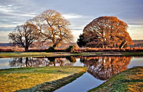 New Forest Brockenhurst - Foto 5