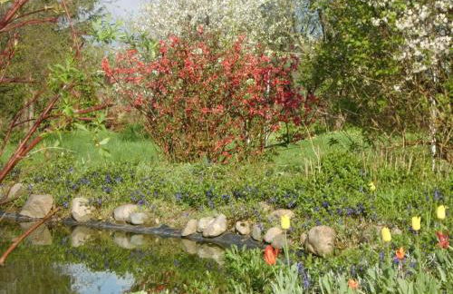 Ferienwohnung A3 - Foto 14