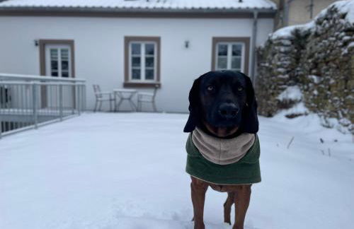 Feriendomizil im Saarschleifenland - Ferienhaus Gätschenberger - Foto 53