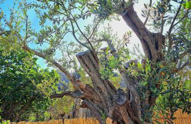 Aegean Serenity - Sea View Retreat - Foto 35