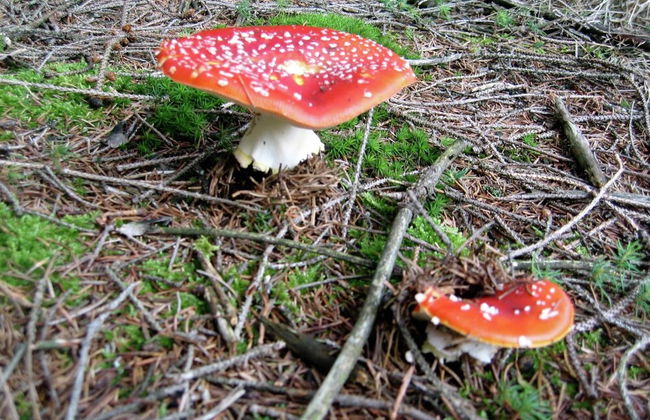 Great Spacious Holiday Home in a Tranquil Holiday - Foto 25