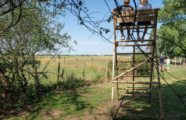 Heritage House 2 km From the Beach in Lissewege - Foto 21