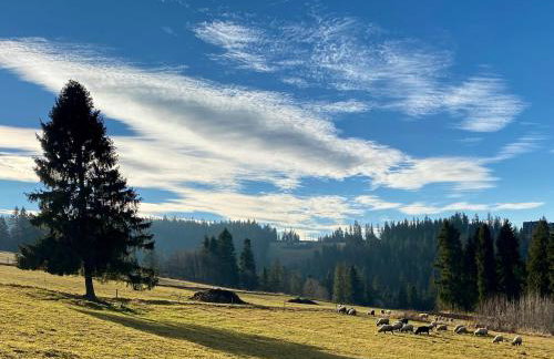 Domek Tatry - Stacja Wierchowa 972 m - Foto 46