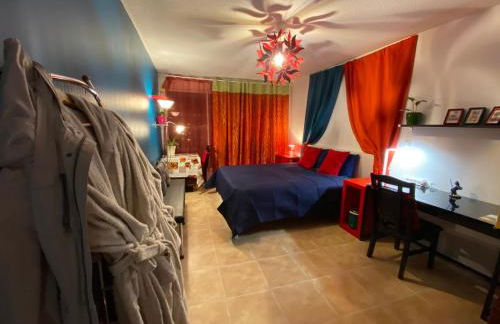 Les Meublés les Dômes du Parc - Photo 32