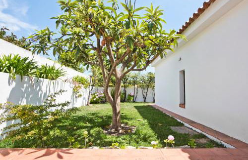 BmyGuest - Sesimbra Country Villa - Foto 77