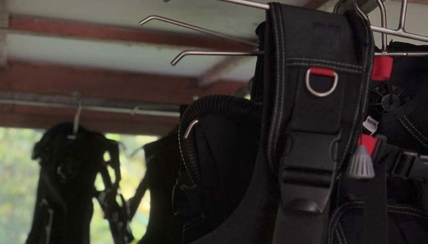 Scuba Diving on Isla del Caño - Foto 4