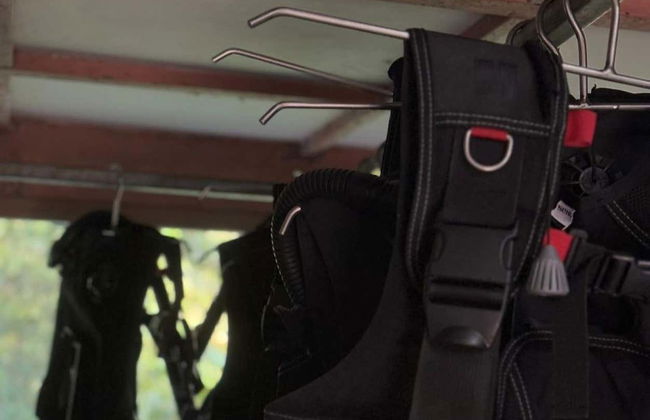 Plongée sur l'île del Caño - Photo 4