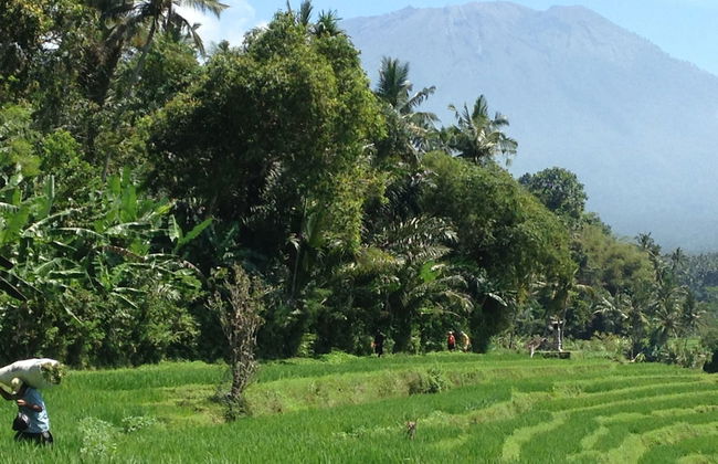 Bloo Lagoon Eco Village - Photo 57