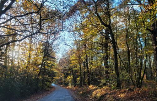 Gîte de la Doucette - Foto 46