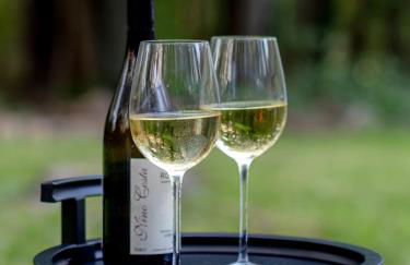 Modern Rustic Escape w/Hot Tub - High Falls Lodge - Foto 28