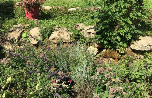 Les Murets du plateau - Foto 10