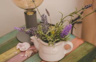 Studio Apartman Ikarka - Photo 20