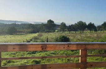 Bungalow Blue - Cabana de Madeira - Foto 12