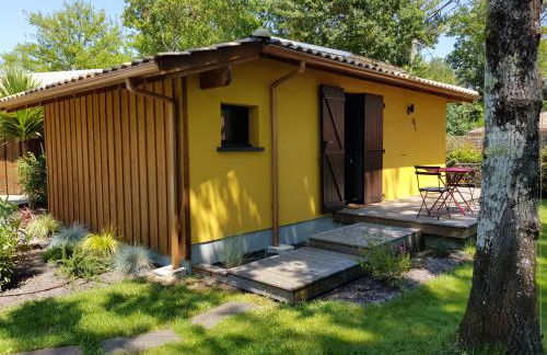 Salamandre et Hippocampe - Foto 24