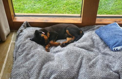 Swn Y Nant Lodge with hot tub Brecon - Foto 22