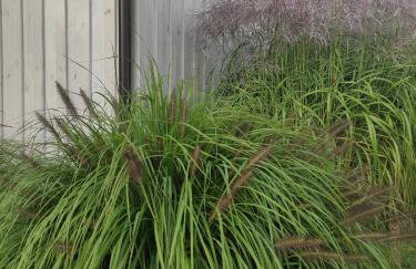 Wigierska Piertówka - Foto 45