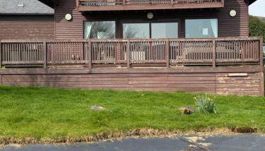 Lake View Lodge - Foto 3