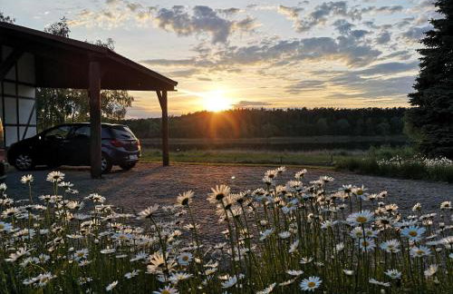 Agroturystyka Wilczyn Cegielnia - Foto 11