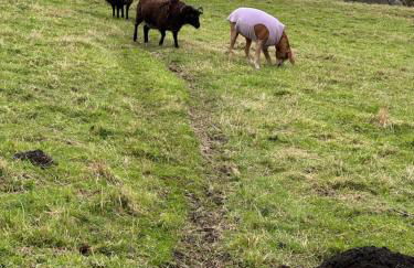 The Hayloft, Modern 4 Bed, 8 person, Barn Conversion in a Rural Location with Great Access & Hot Tub - Foto 40