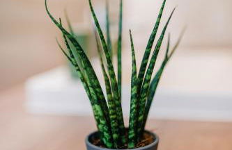 Résidence Les Charmes - Foto 44