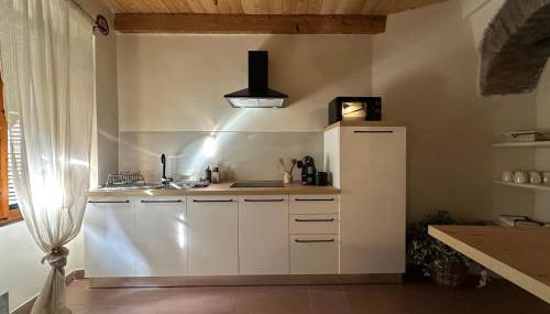 Vitis Verde - Foto 5, stove